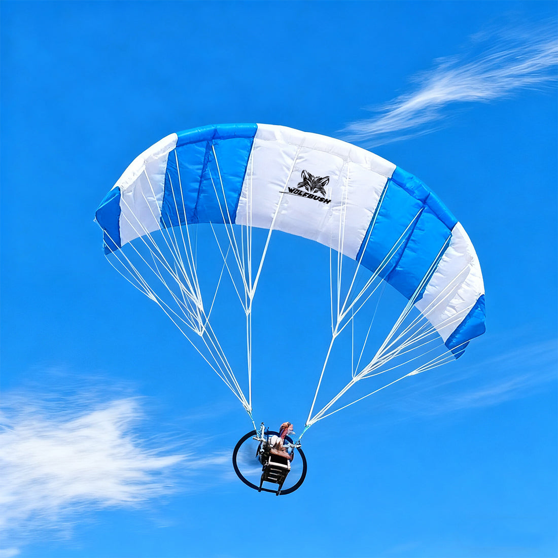 WOLFBUSH 2.4G 128cm Wingspan Mini Electric RC Stunt Paraglider Model (RTF)