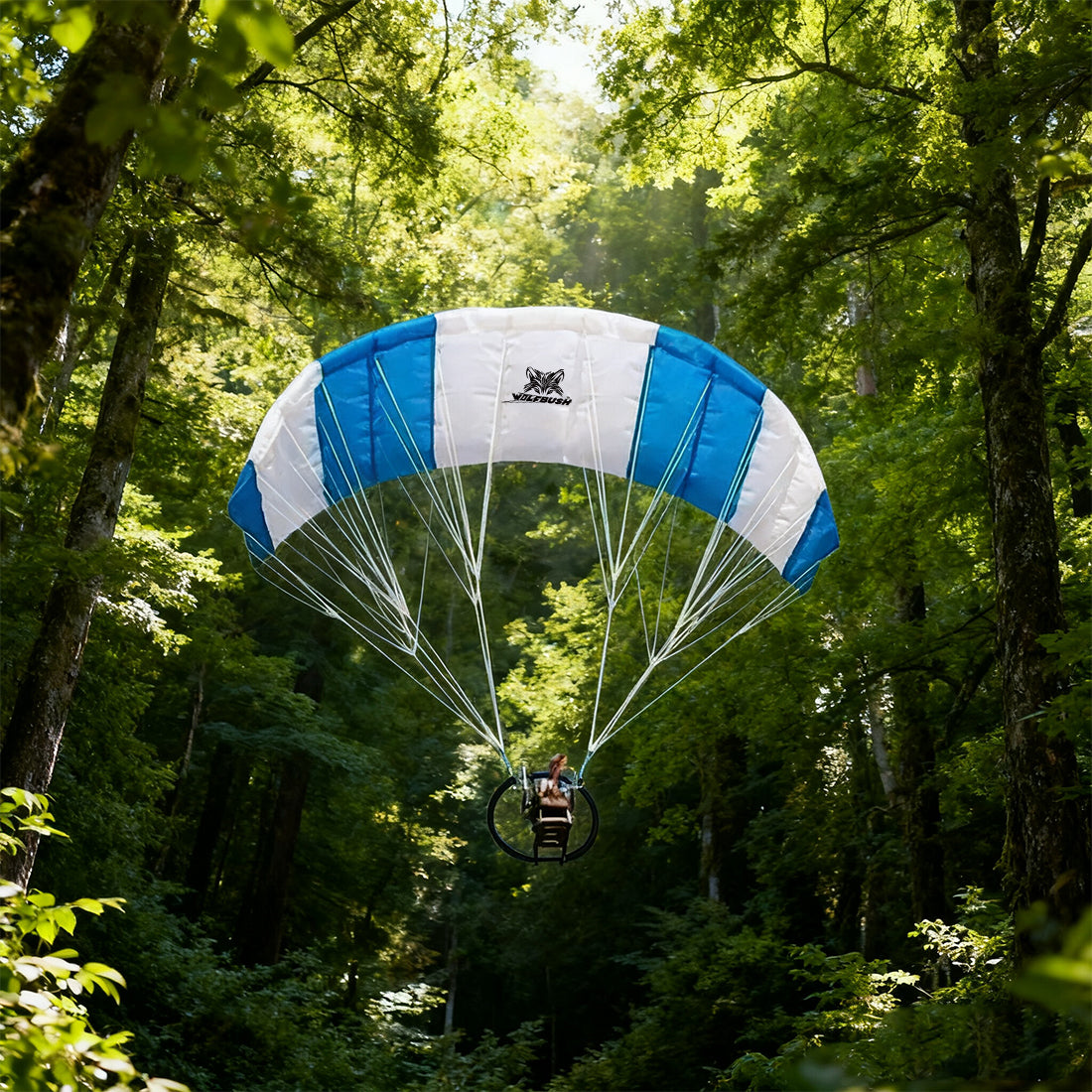 WOLFBUSH 2.4G 128cm Wingspan Mini Electric RC Stunt Paraglider Model (RTF)